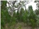 385 Amosfield Road, Stanthorpe QLD 4380