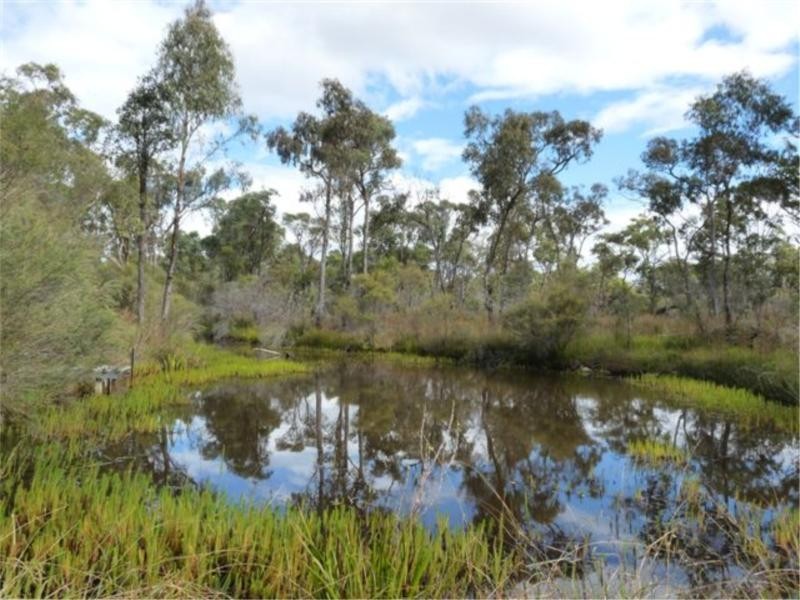 20 Philpott Road, Greenlands via, Stanthorpe QLD 4380