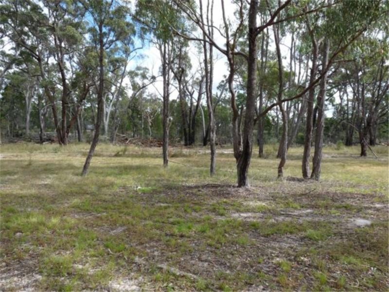 20 Philpott Road, Greenlands via, Stanthorpe QLD 4380