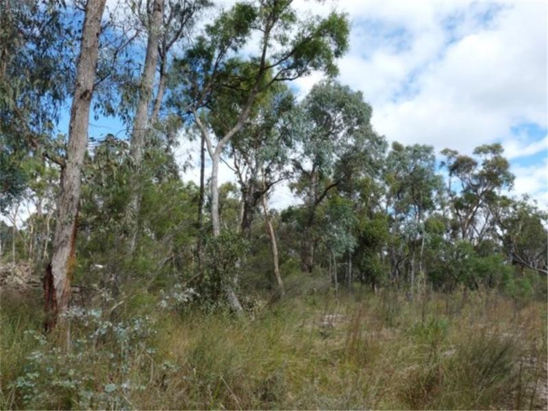 20 Philpott Road, Greenlands via, Stanthorpe QLD 4380