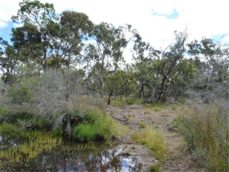 20 Philpott Road, Greenlands via, Stanthorpe QLD 4380
