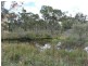 20 Philpott Road, Greenlands via, Stanthorpe QLD 4380