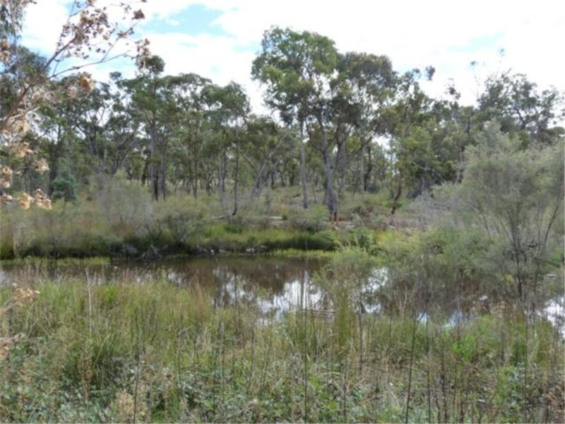 20 Philpott Road, Greenlands via, Stanthorpe QLD 4380