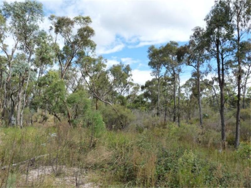 20 Philpott Road, Greenlands via, Stanthorpe QLD 4380