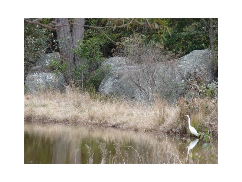 110 Spring Creek Road, Stanthorpe QLD 4380