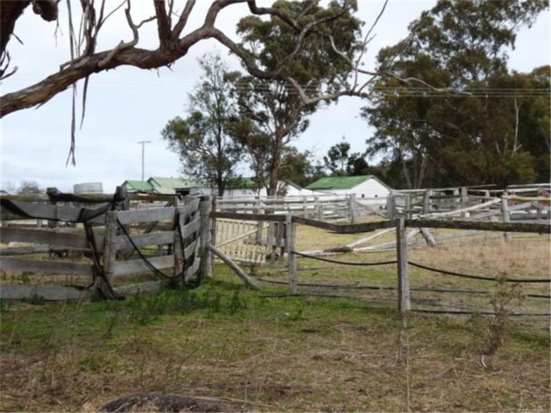 110 Spring Creek Road, Stanthorpe QLD 4380