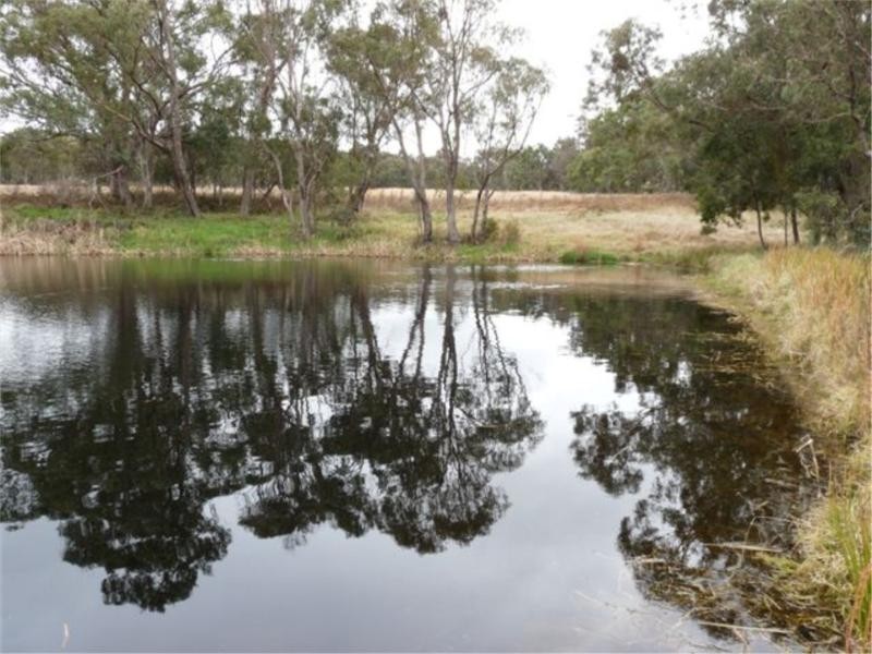 110 Spring Creek Road, Stanthorpe QLD 4380