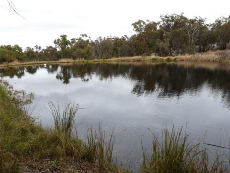 110 Spring Creek Road, Stanthorpe QLD 4380