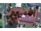 11 Wattle Court, Stanthorpe QLD 4380