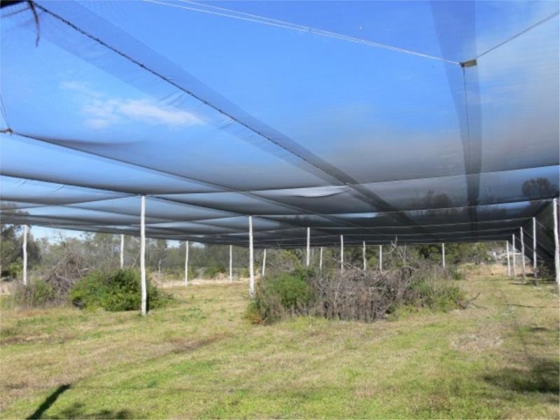 83 Perry Lane, Stanthorpe QLD 4380