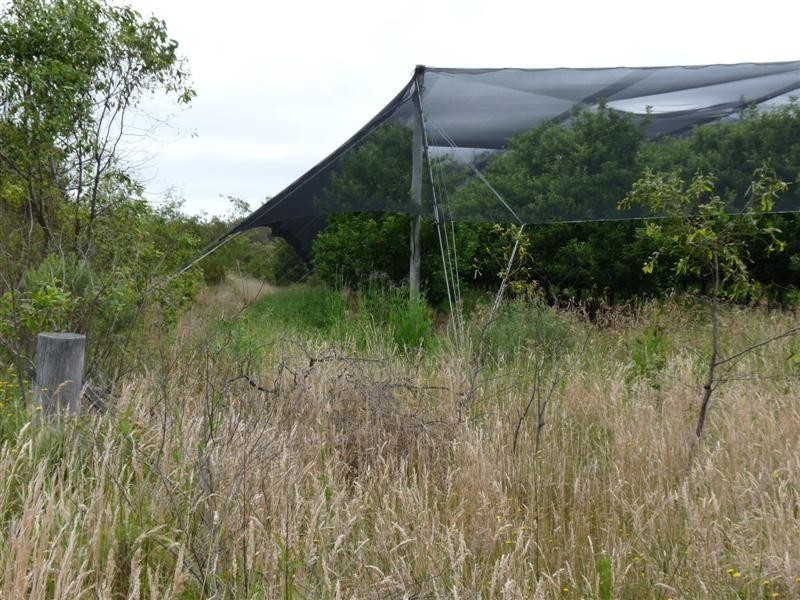 83 Perry Lane, Stanthorpe QLD 4380