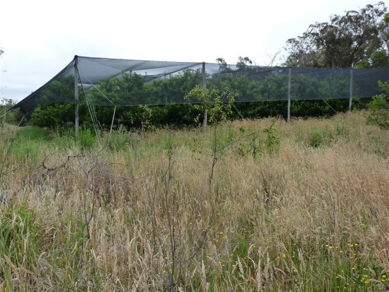 83 Perry Lane, Stanthorpe QLD 4380