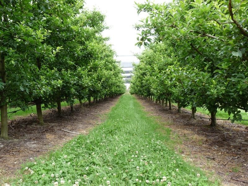 83 Perry Lane, Stanthorpe QLD 4380