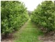 83 Perry Lane, Stanthorpe QLD 4380