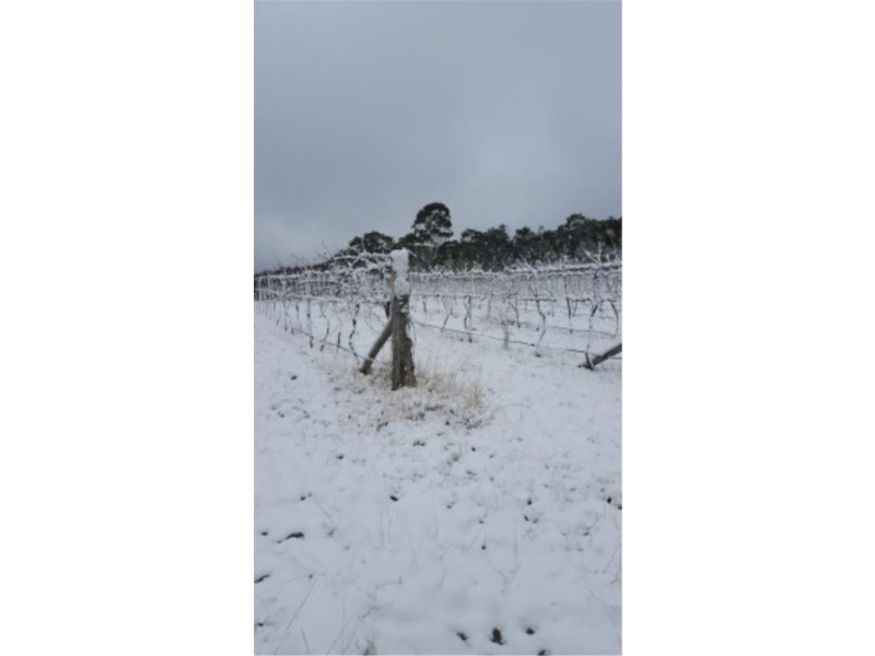 368 Townsend Road, Stanthorpe QLD 4380