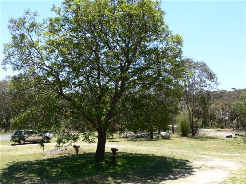 368 Townsend Road, Stanthorpe QLD 4380