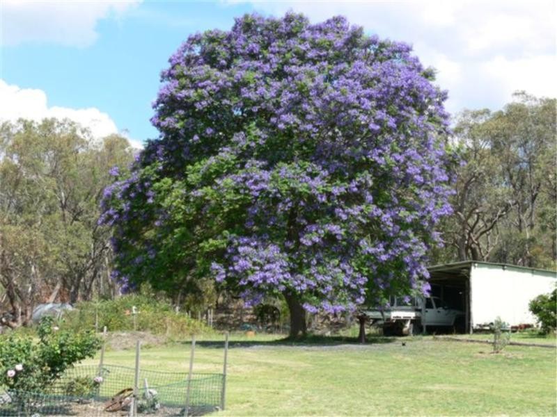 368 Townsend Road, Stanthorpe QLD 4380