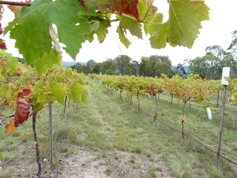 368 Townsend Road, Stanthorpe QLD 4380