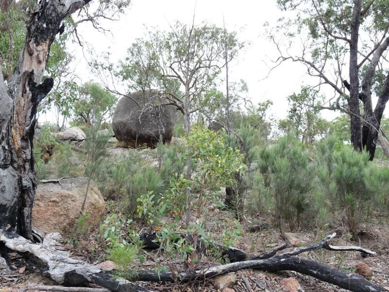 368 Townsend Road, Stanthorpe QLD 4380