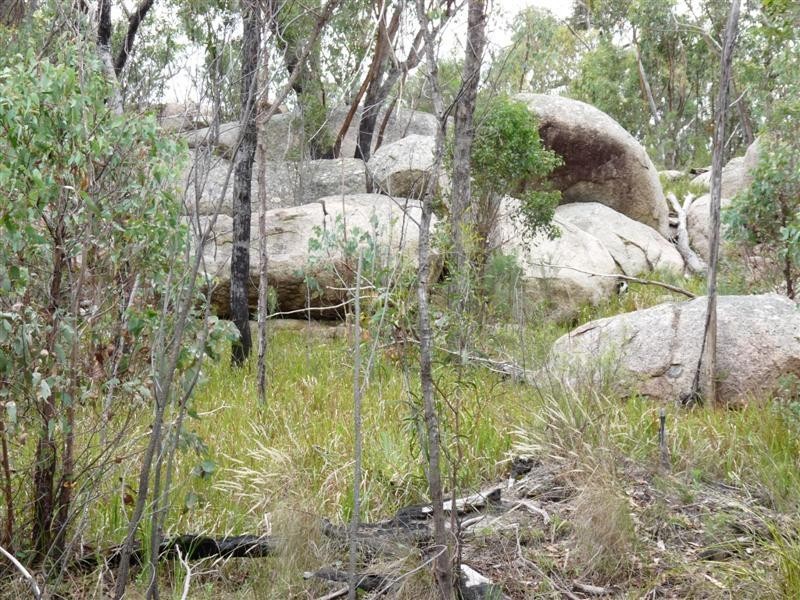 368 Townsend Road, Stanthorpe QLD 4380