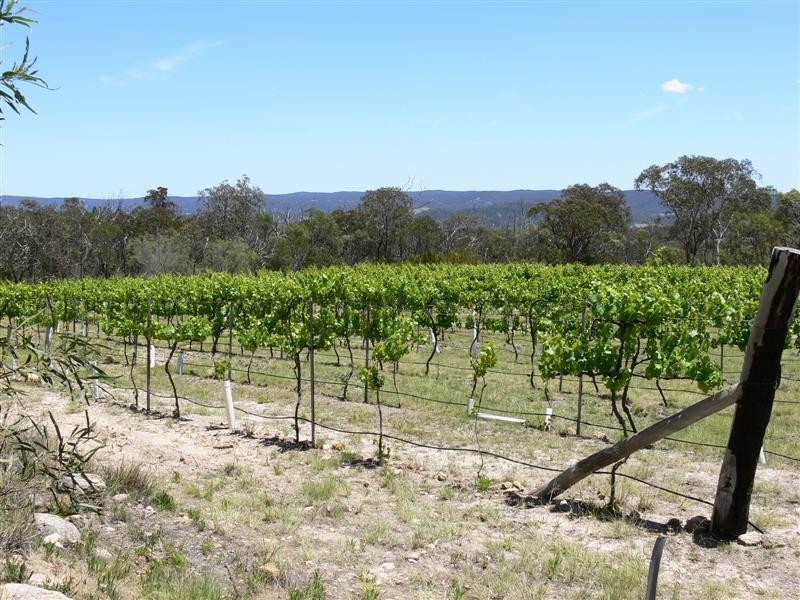 368 Townsend Road, Stanthorpe QLD 4380