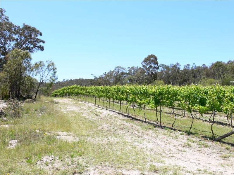 368 Townsend Road, Stanthorpe QLD 4380