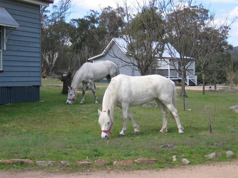 26 Diamondvale Road, Stanthorpe QLD 4380