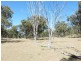 728 Mt Hutton Road, Nundubbermere via, Stanthorpe QLD 4380