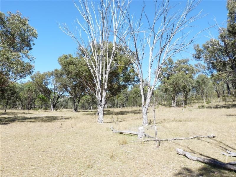 728 Mt Hutton Road, Nundubbermere via, Stanthorpe QLD 4380