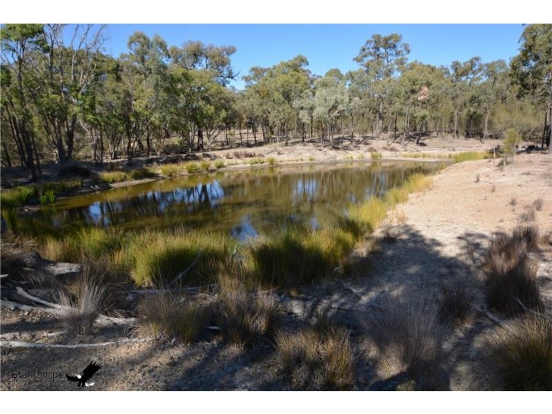 728 Mt Hutton Road, Nundubbermere via, Stanthorpe QLD 4380