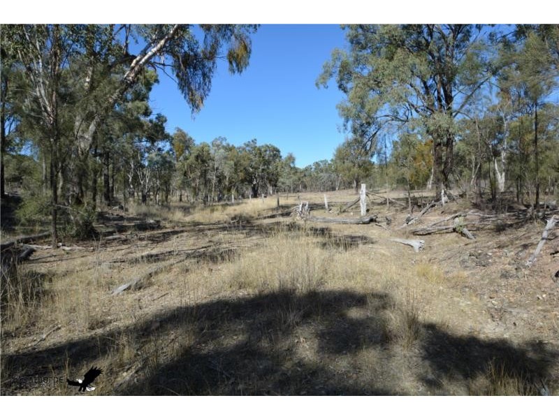 728 Mt Hutton Road, Nundubbermere via, Stanthorpe QLD 4380
