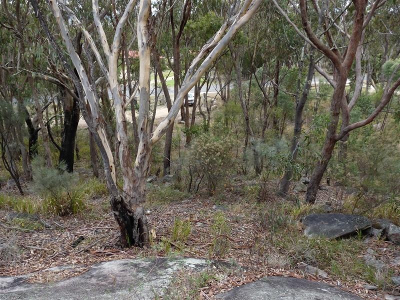 67 Roberts Road, Stanthorpe QLD 4380