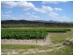 159 Costanzo Lane, Stanthorpe QLD 4380