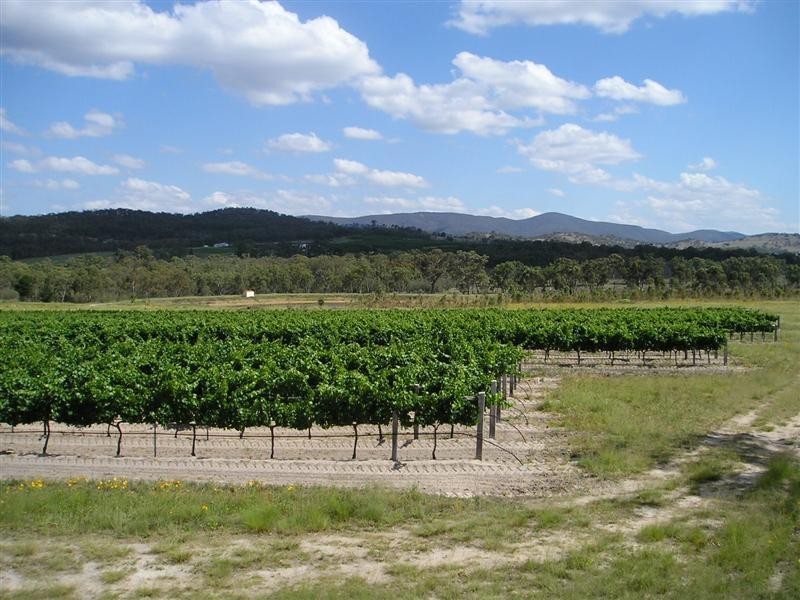 159 Costanzo Lane, Stanthorpe QLD 4380