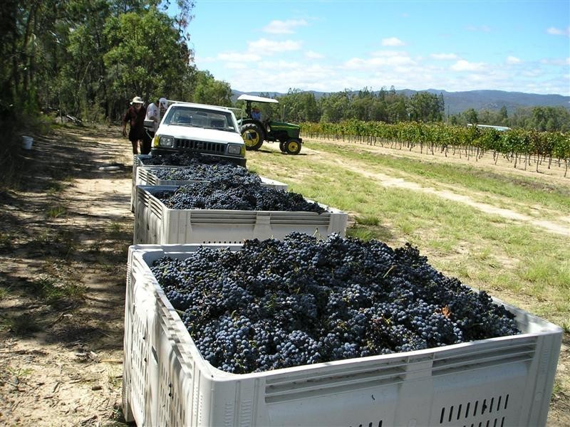 159 Costanzo Lane, Stanthorpe QLD 4380