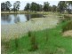 23 Tennant Rd, Stanthorpe QLD 4380