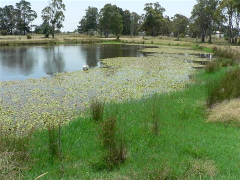 23 Tennant Rd, Stanthorpe QLD 4380