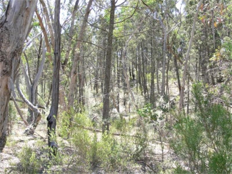 2501 Pyramids Road, Wyberba QLD 4382