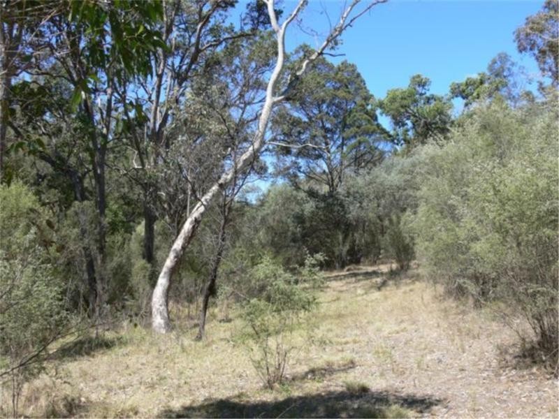 2501 Pyramids Road, Wyberba QLD 4382