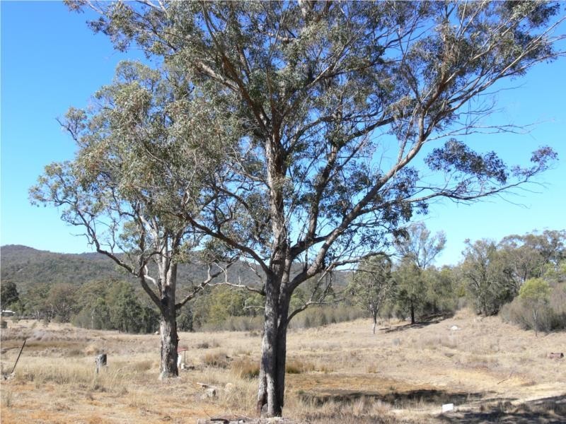 2501 Pyramids Road, Wyberba QLD 4382