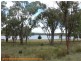 601 Eukey Road, Stanthorpe QLD 4380