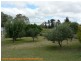 601 Eukey Road, Stanthorpe QLD 4380