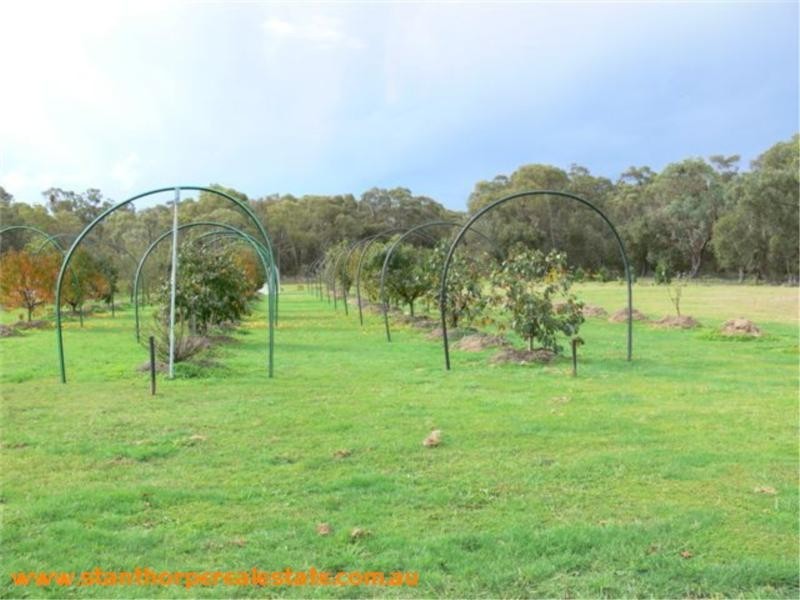 83 Mills Road, Stanthorpe QLD 4380