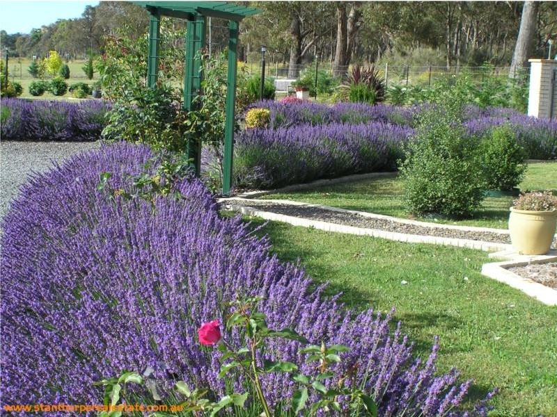 83 Mills Road, Stanthorpe QLD 4380