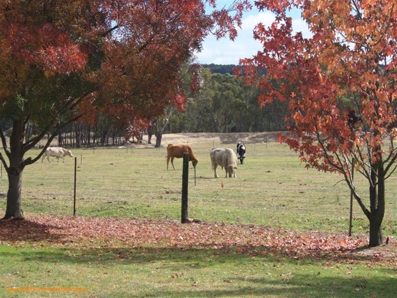 815 Amiens Road, Stanthorpe QLD 4380