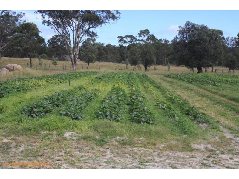 815 Amiens Road, Stanthorpe QLD 4380