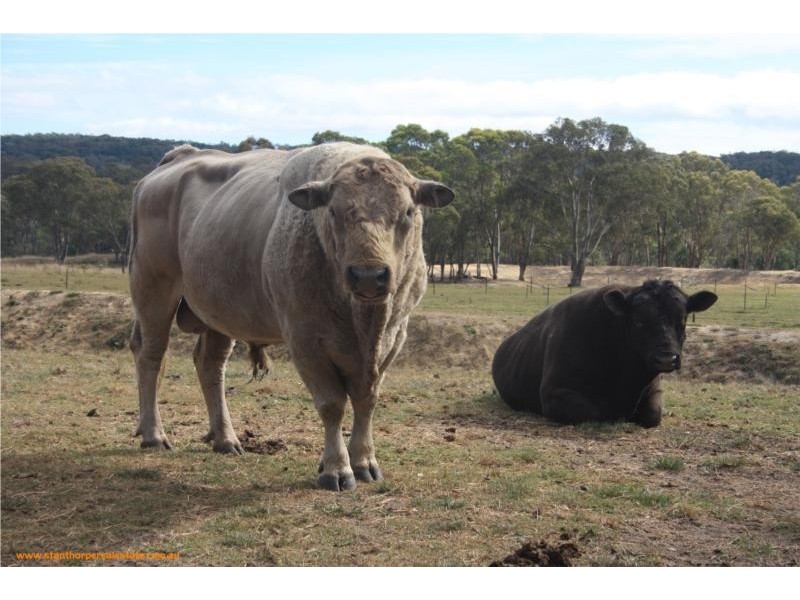 815 Amiens Road, Stanthorpe QLD 4380