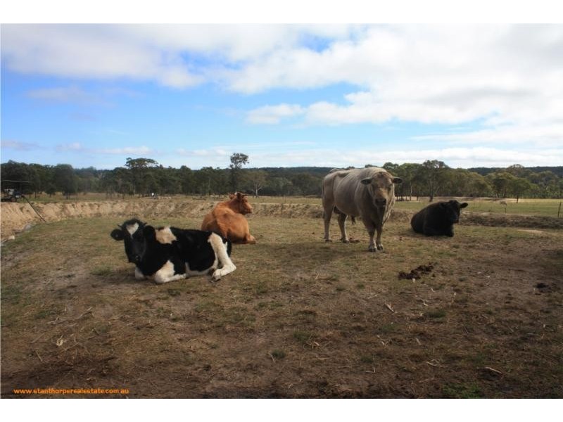 815 Amiens Road, Stanthorpe QLD 4380