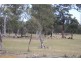 815 Amiens Road, Stanthorpe QLD 4380