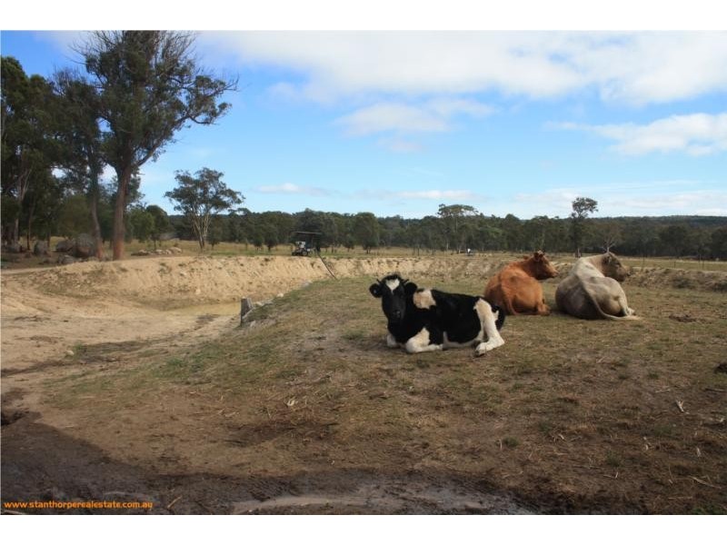 815 Amiens Road, Stanthorpe QLD 4380